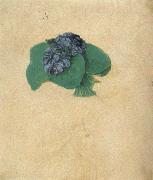 Albrecht Durer A Nosegay of Violets oil painting artist
